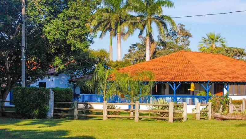 Brazil Wildlife Adventure