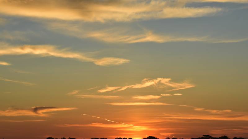 Signature Costa Rica | Where the Wild Answers