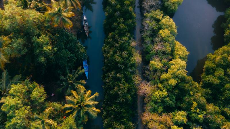 Signature India | Between Spices & Backwaters