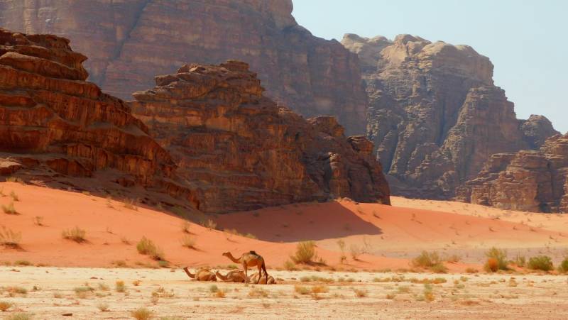 Signature Jordan | Stars and Desert Sands