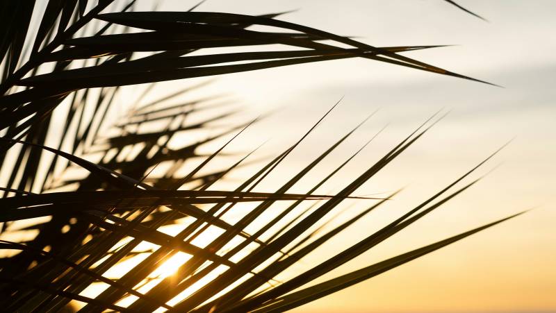 Signature Costa Rica | Where the Wild Answers