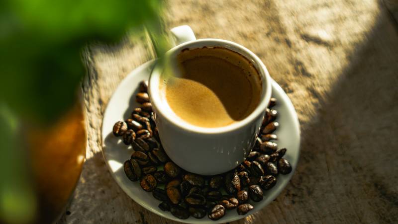 Signature Costa Rica | Where the Wild Answers