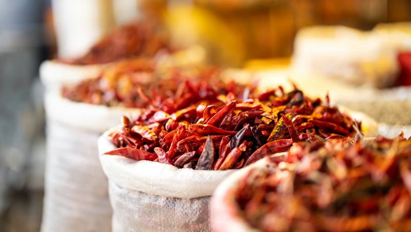 Signature India | Between Spices & Backwaters