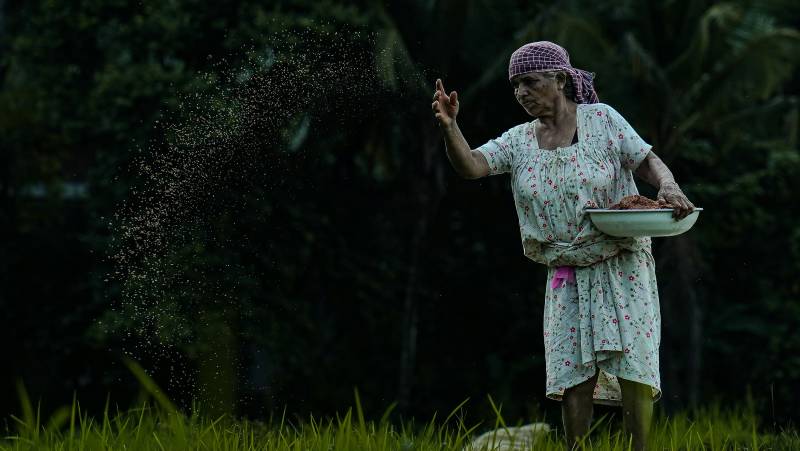 Signature India | Between Spices & Backwaters