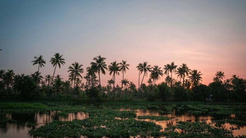 Signature India | Between Spices & Backwaters