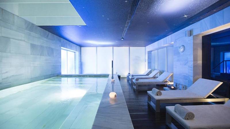 Signature Spain | Light Through Olive Groves