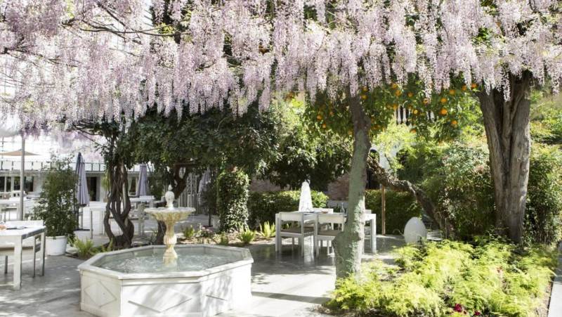 Signature Spain | Light Through Olive Groves