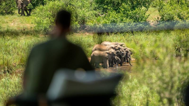 Signature South Africa | Across the Wild Plains