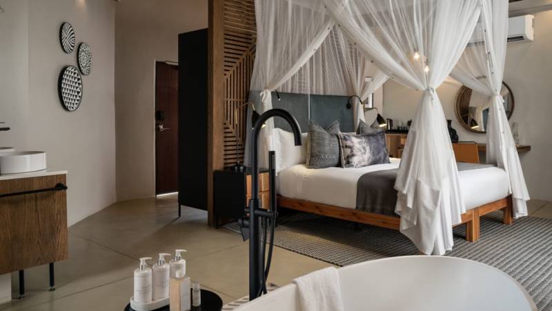 Signature South Africa | Across the Wild Plains