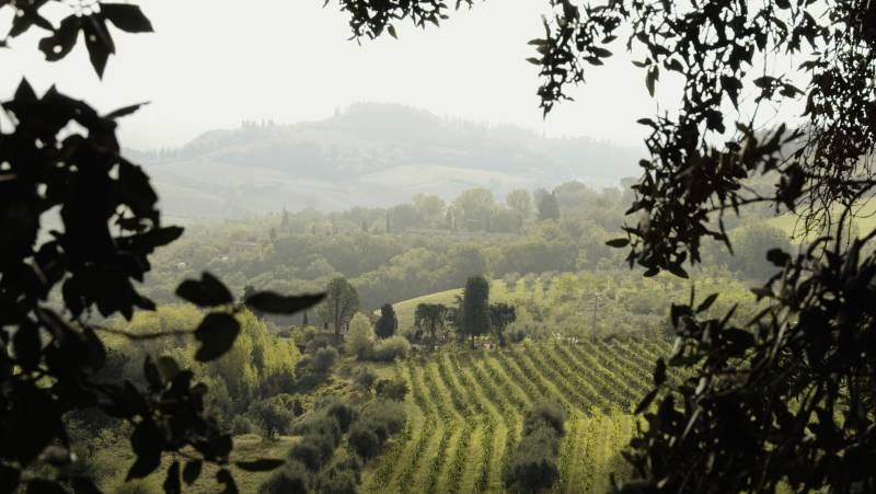 Signature Italy | Allure of Renaissance Tuscany