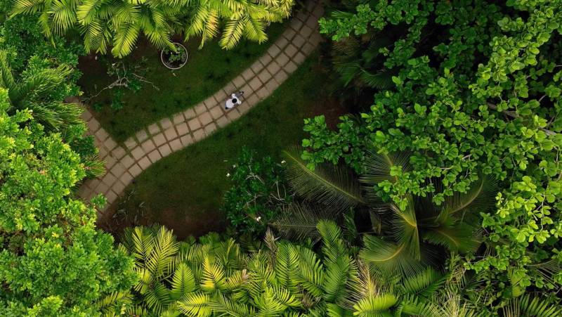 Signature Sri Lanka | The Island of Serendipity