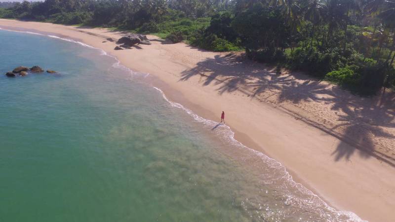 Signature Sri Lanka | The Island of Serendipity