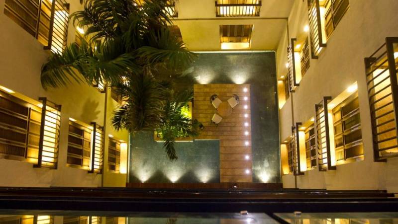 Signature Colombia | Stories Beneath Wax Palms