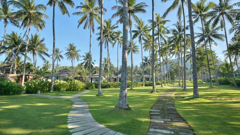 Signature Indonesia | The Sacred Wild Isles