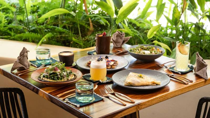 Signature Mexico | Among Ruins & Ritual