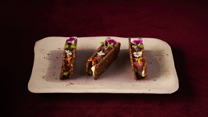 Signature Colombia | Stories Beneath Wax Palms