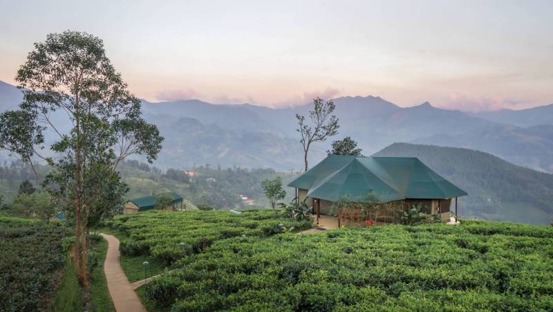 Signature Sri Lanka | The Island of Serendipity