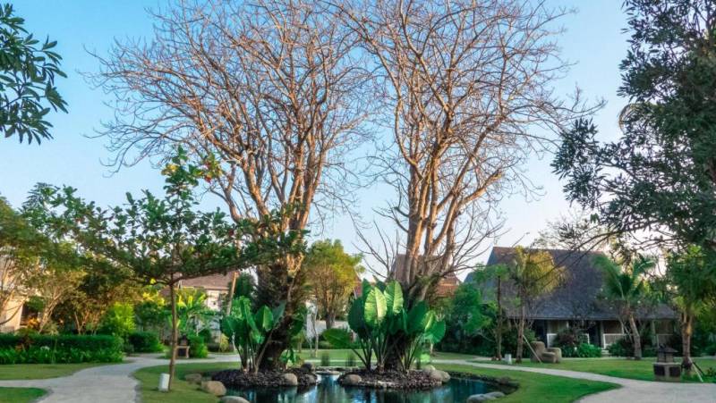 Signature Indonesia | The Sacred Wild Isles