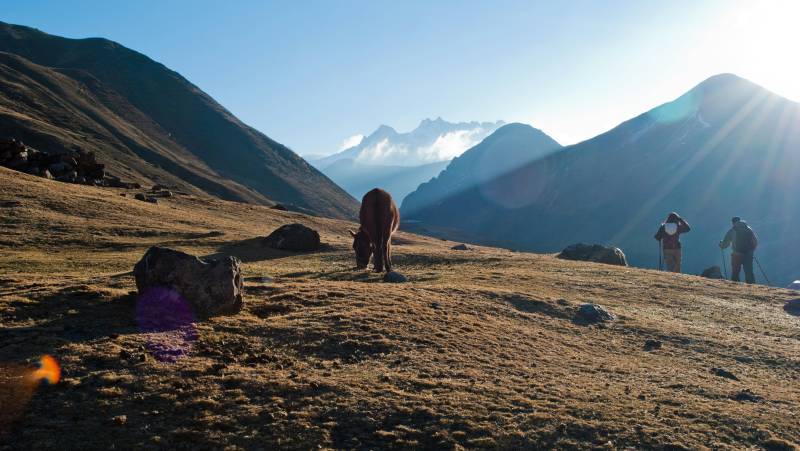 Lares Trek to Machu Picchu