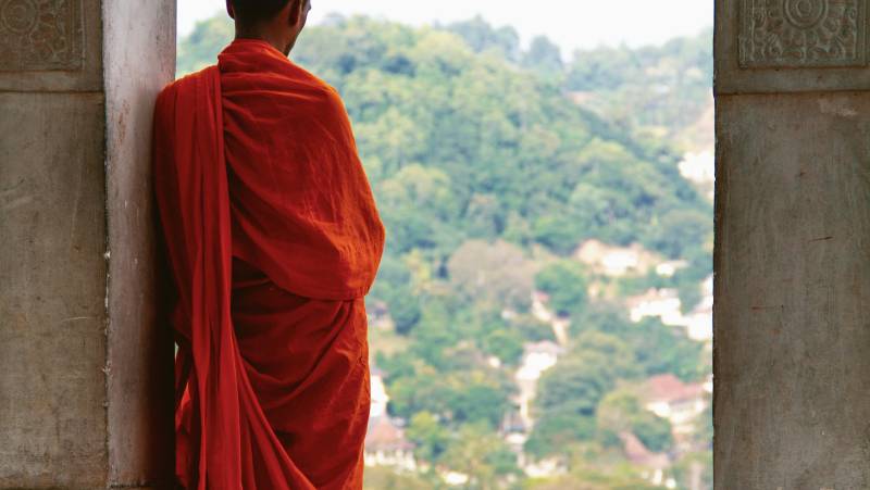 Signature Sri Lanka | The Island of Serendipity