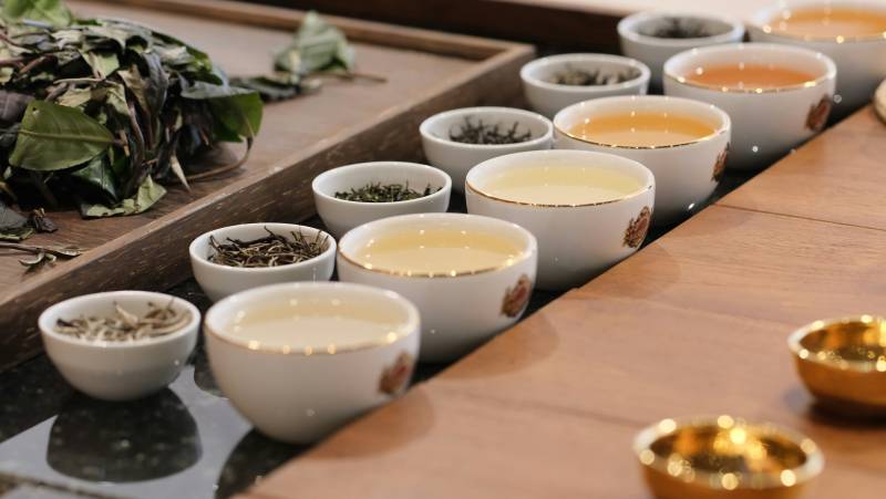 Signature Sri Lanka | The Island of Serendipity