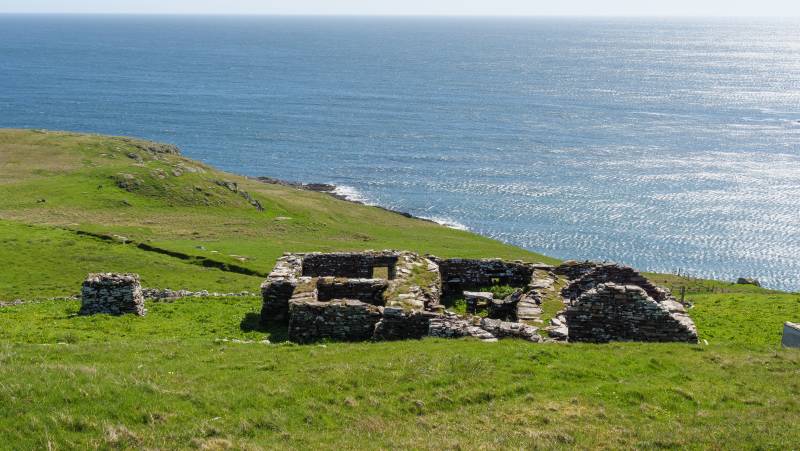 Scotland to Spitsbergen: Puffins, Sea Ice and Wildlife