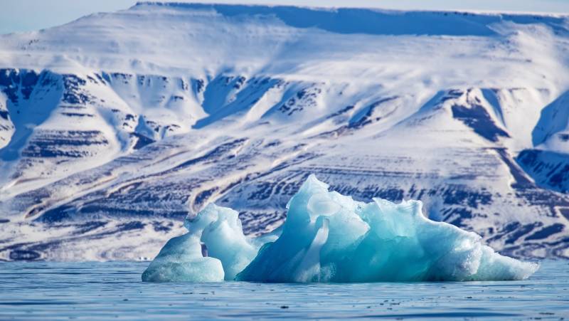 Scotland to Spitsbergen: Puffins, Sea Ice and Wildlife