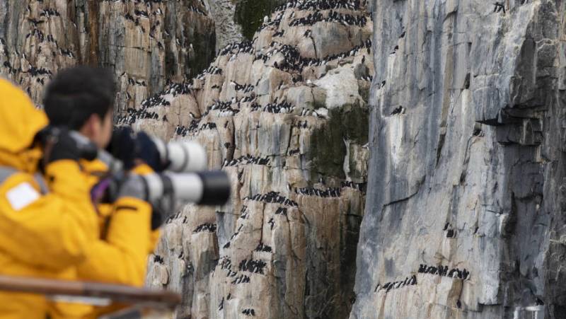 Scotland to Spitsbergen: Puffins, Sea Ice and Wildlife