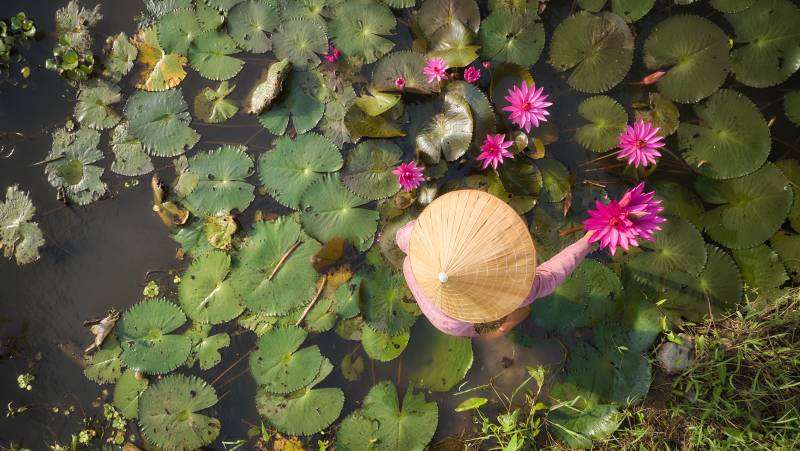 Best of Vietnam – Premium Family Adventure