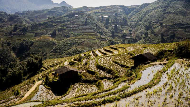 Signature Vietnam | In Fabric & Folklore