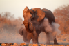 Tanzania Tour