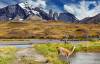 Peru Trip