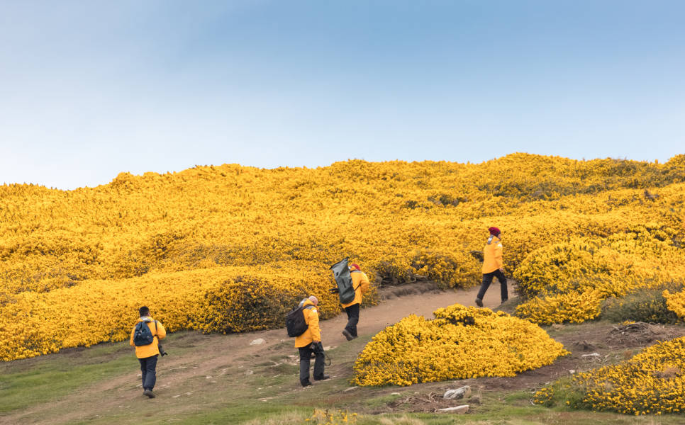 The Falkland Islands (Islas Malvinas)