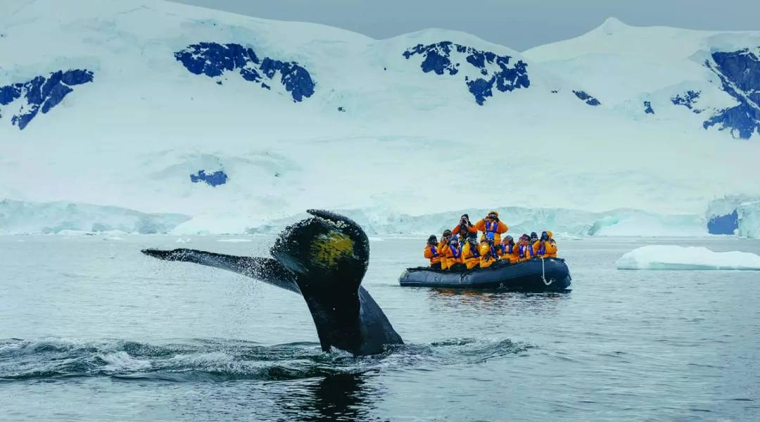 Zodiac Cruising