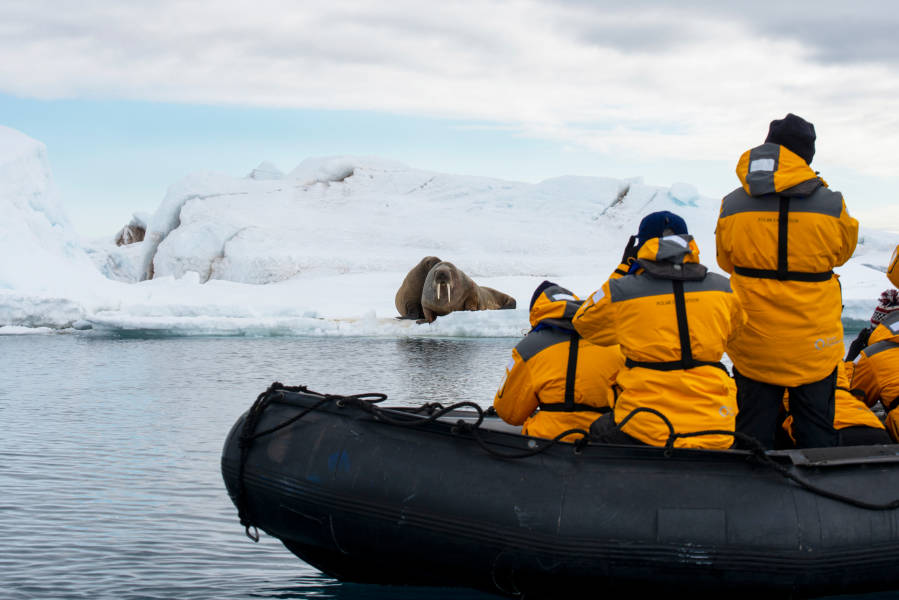 Arctic Adventure Offer