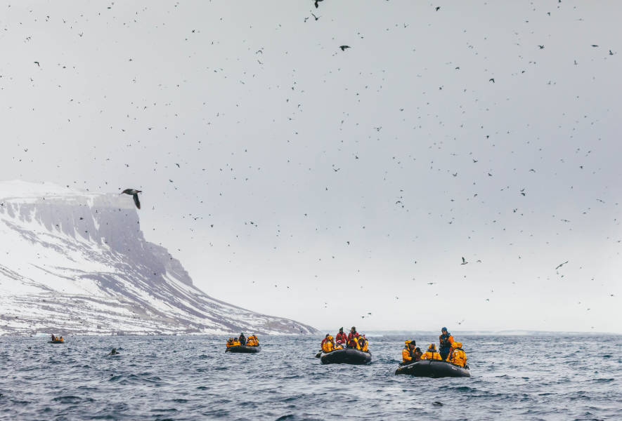 Svalbard in Spring: Sea Ice, Pristine Snow and Wildlife