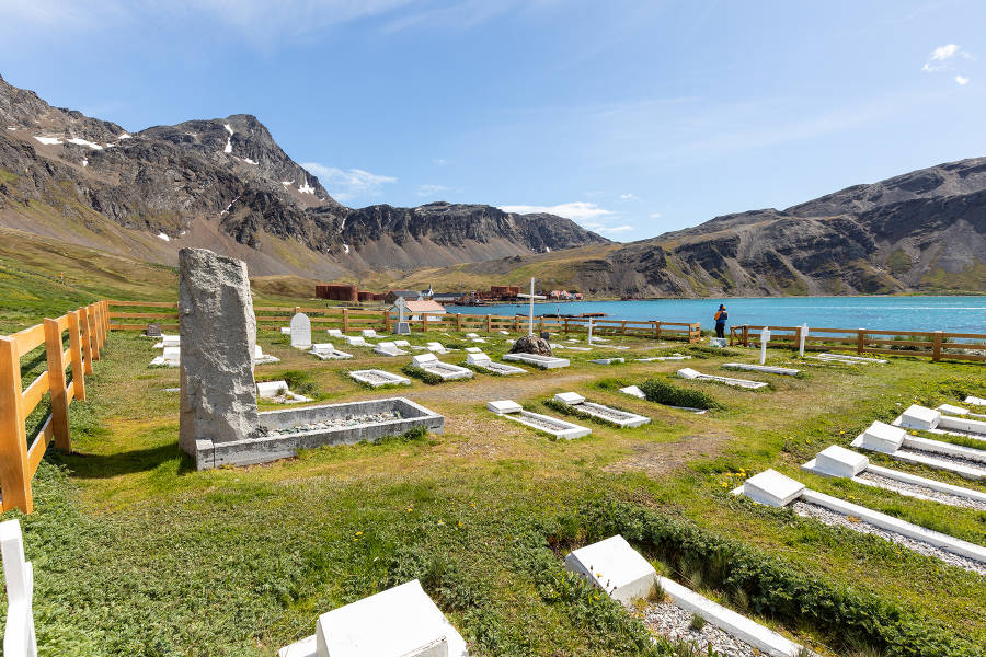 Falkland Islands and South Georgia: 20-Day Wildlife Adventure