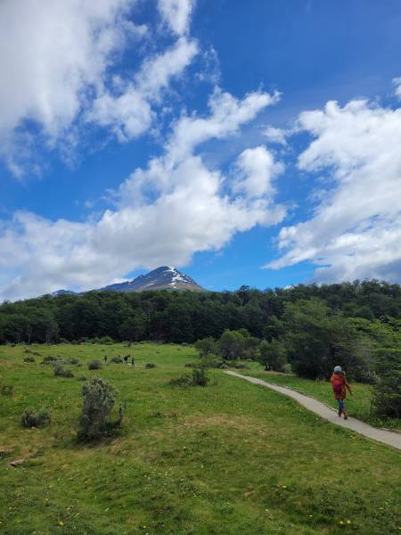 Tierra del Fuego National Park Day Trip 