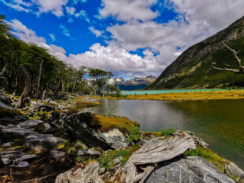 Tierra del Fuego National Park Day Trip 