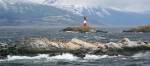 Leuchtturm in Ushuaia