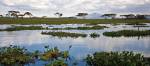 Kenias Hauptstadt Nairobi ist umgeben von spektakulärer Natur