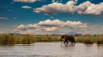 Best time to Visit Zambia