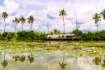 Alleppey houseboat