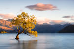 New Zealand: Highlights