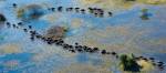 Das Okavango Delta zählt zu den schönsten Sehenswürdigkeiten in Afrika