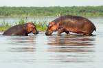 Best Time to Visit Namibia