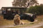 Discover the Best Luxury Safari Camps in Botswana!