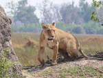 Botswana Sehenswürdigkeiten