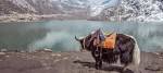 Enchanting Travels India Tours Gangtok Lake