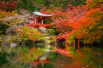 Enchanting Travels Japan Tours Kyoto scenery